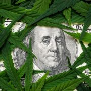Getting banked: financial services and the US cannabis industry